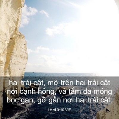 Picture 03 - Lê-vi 3:10 VIE - hai trái cật, mỡ trên hai trái cật nơi - Bible Verse Picture