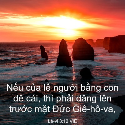 Picture 03 - Lê-vi 3:12 VIE - Nếu của lễ người bằng con dê cái, - Bible Verse Picture