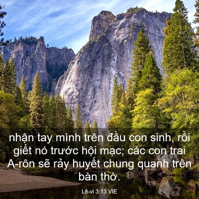 Picture 03 - Lê-vi 3:13 VIE - nhận tay mình trên đầu con sinh, rồi - Bible Verse Picture