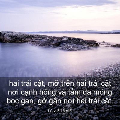Picture 03 - Lê-vi 3:15 VIE - hai trái cật, mỡ trên hai trái cật nơi - Bible Verse Picture