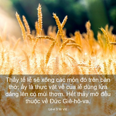 Picture 03 - Lê-vi 3:16 VIE - Thầy tế lễ sẽ xông các món đó trên - Bible Verse Picture