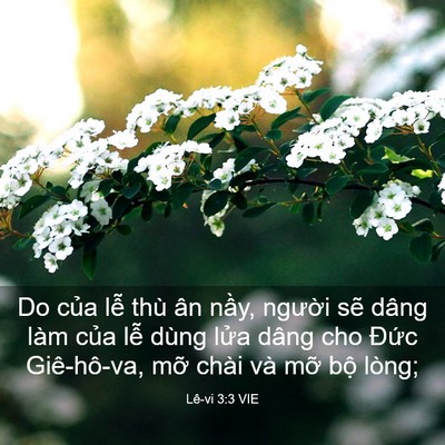 Picture 03 - Lê-vi 3:3 VIE - Do của lễ thù ân nầy, người sẽ dâng - Bible Verse Picture