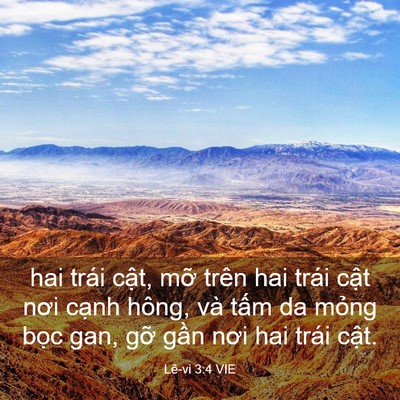 Picture 03 - Lê-vi 3:4 VIE - hai trái cật, mỡ trên hai trái cật nơi - Bible Verse Picture