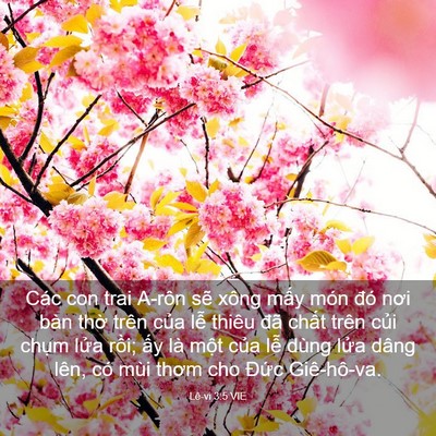 Picture 03 - Lê-vi 3:5 VIE - Các con trai A-rôn sẽ xông mấy món đó - Bible Verse Picture