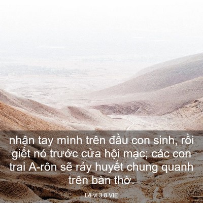 Picture 03 - Lê-vi 3:8 VIE - nhận tay mình trên đầu con sinh, rồi - Bible Verse Picture