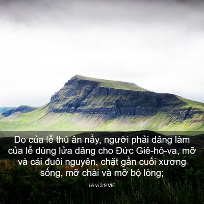 Picture 03 - Lê-vi 3:9 VIE - Do của lễ thù ân nầy, người phải - Bible Verse Picture