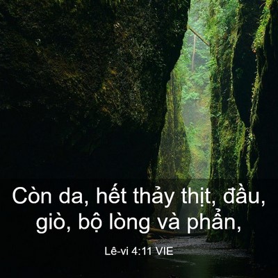Picture 03 - Lê-vi 4:11 VIE - Còn da, hết thảy thịt, đầu, giò, bộ - Bible Verse Picture