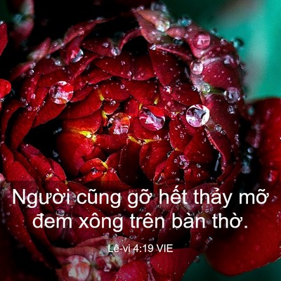 Picture 03 - Lê-vi 4:19 VIE - Người cũng gỡ hết thảy mỡ đem xông - Bible Verse Picture