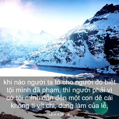 Picture 03 - Lê-vi 4:28 VIE - khi nào người ta tỏ cho người đó - Bible Verse Picture