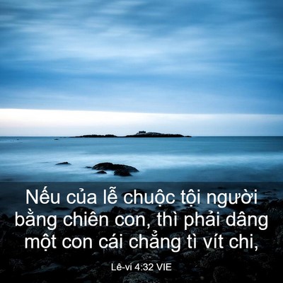 Picture 03 - Lê-vi 4:32 VIE - Nếu của lễ chuộc tội người bằng - Bible Verse Picture