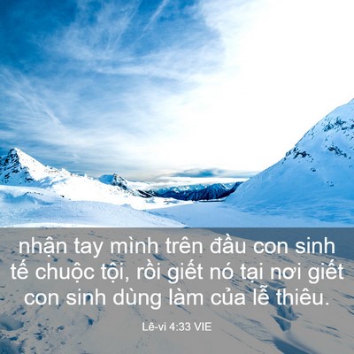 Picture 03 - Lê-vi 4:33 VIE - nhận tay mình trên đầu con sinh tế - Bible Verse Picture