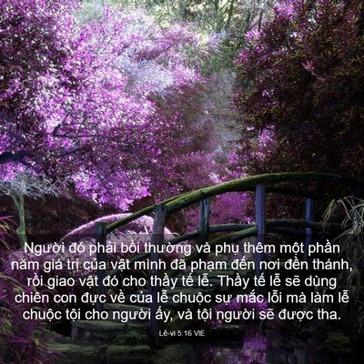 Picture 03 - Lê-vi 5:16 VIE - Người đó phải bồi thường và phụ - Bible Verse Picture