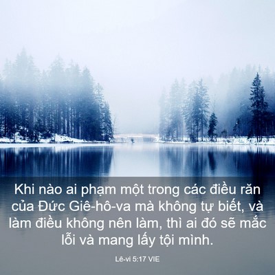 Picture 03 - Lê-vi 5:17 VIE - Khi nào ai phạm một trong các điều răn - Bible Verse Picture