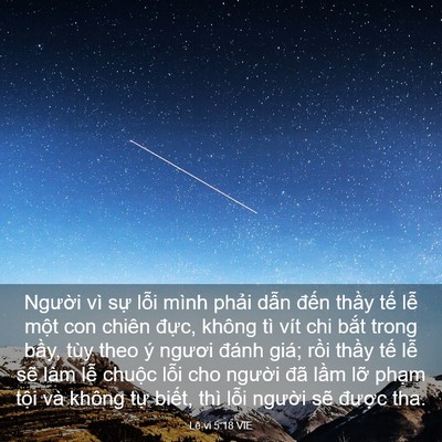 Picture 03 - Lê-vi 5:18 VIE - Người vì sự lỗi mình phải dẫn đến - Bible Verse Picture