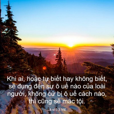 Picture 03 - Lê-vi 5:3 VIE - Khi ai, hoặc tự biết hay không biết, - Bible Verse Picture