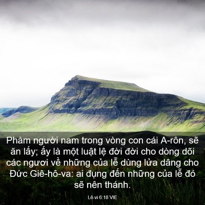 Picture 03 - Lê-vi 6:18 VIE - Phàm người nam trong vòng con cái A-rôn, - Bible Verse Picture