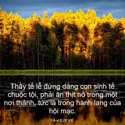 Picture 03 - Lê-vi 6:26 VIE - Thầy tế lễ đứng dâng con sinh tế - Bible Verse Picture