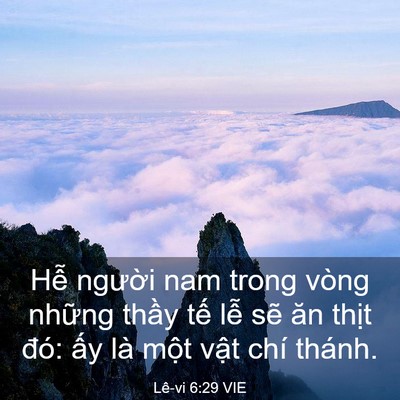 Picture 03 - Lê-vi 6:29 VIE - Hễ người nam trong vòng những thầy tế - Bible Verse Picture
