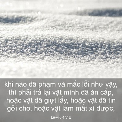 Picture 03 - Lê-vi 6:4 VIE - khi nào đã phạm và mắc lỗi như vậy, - Bible Verse Picture