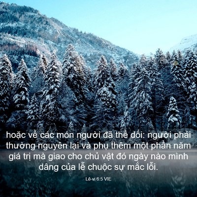 Picture 03 - Lê-vi 6:5 VIE - hoặc về các món người đã thề dối: - Bible Verse Picture