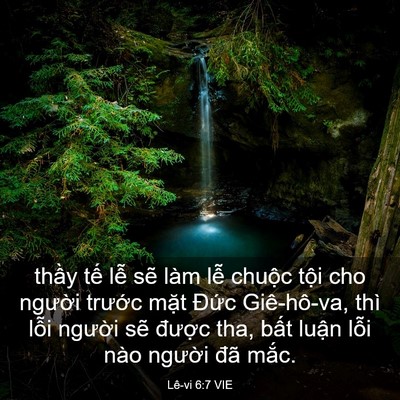 Picture 03 - Lê-vi 6:7 VIE - thầy tế lễ sẽ làm lễ chuộc tội cho - Bible Verse Picture