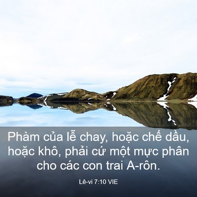 Picture 03 - Lê-vi 7:10 VIE - Phàm của lễ chay, hoặc chế dầu, hoặc - Bible Verse Picture