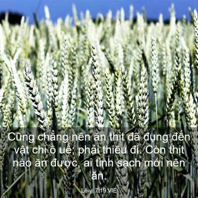 Picture 03 - Lê-vi 7:19 VIE - Cũng chẳng nên ăn thịt đã đụng đến - Bible Verse Picture