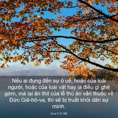 Picture 03 - Lê-vi 7:21 VIE - Nếu ai đụng đến sự ô uế, hoặc - Bible Verse Picture