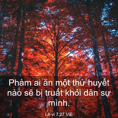 Picture 03 - Lê-vi 7:27 VIE - Phàm ai ăn một thứ huyết nào sẽ bị - Bible Verse Picture