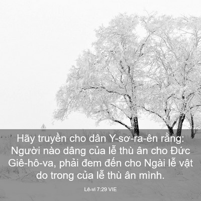 Picture 03 - Lê-vi 7:29 VIE - Hãy truyền cho dân Y-sơ-ra-ên rằng: - Bible Verse Picture