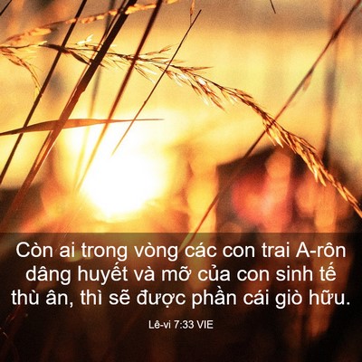 Picture 03 - Lê-vi 7:33 VIE - Còn ai trong vòng các con trai A-rôn dâng - Bible Verse Picture