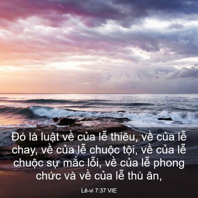 Picture 03 - Lê-vi 7:37 VIE - Đó là luật về của lễ thiêu, về - Bible Verse Picture