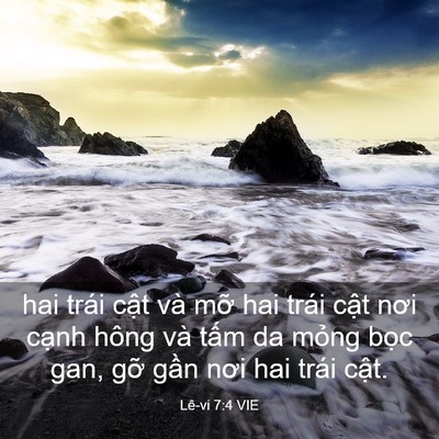 Picture 03 - Lê-vi 7:4 VIE - hai trái cật và mỡ hai trái cật nơi - Bible Verse Picture