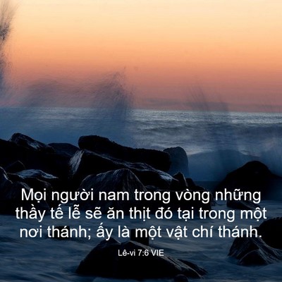 Picture 03 - Lê-vi 7:6 VIE - Mọi người nam trong vòng những thầy - Bible Verse Picture