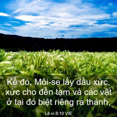 Picture 03 - Lê-vi 8:10 VIE - Kế đó, Môi-se lấy dầu xức, xức cho - Bible Verse Picture