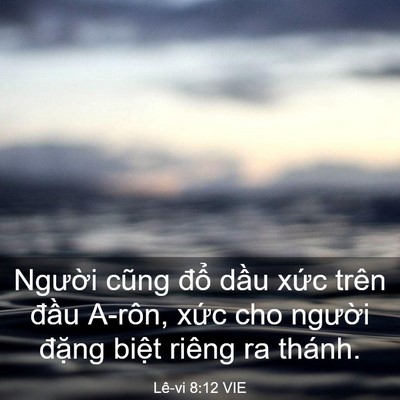 Picture 03 - Lê-vi 8:12 VIE - Người cũng đổ dầu xức trên đầu - Bible Verse Picture