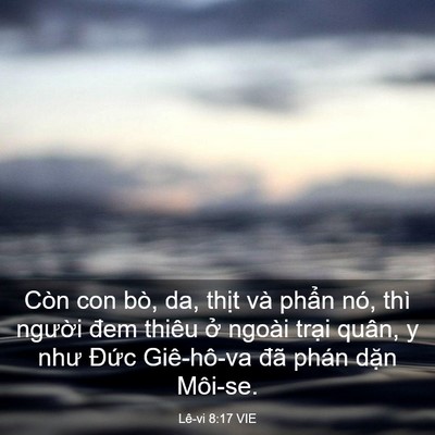 Picture 03 - Lê-vi 8:17 VIE - Còn con bò, da, thịt và phẩn nó, thì - Bible Verse Picture