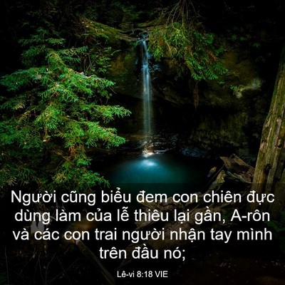 Picture 03 - Lê-vi 8:18 VIE - Người cũng biểu đem con chiên đực - Bible Verse Picture