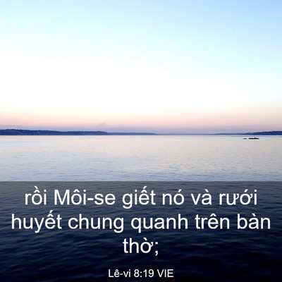 Picture 03 - Lê-vi 8:19 VIE - rồi Môi-se giết nó và rưới huyết - Bible Verse Picture