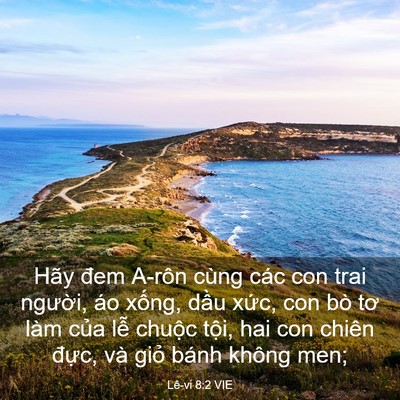 Picture 03 - Lê-vi 8:2 VIE - Hãy đem A-rôn cùng các con trai người, - Bible Verse Picture