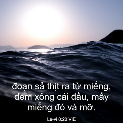 Picture 03 - Lê-vi 8:20 VIE - đoạn sả thịt ra từ miếng, đem xông - Bible Verse Picture
