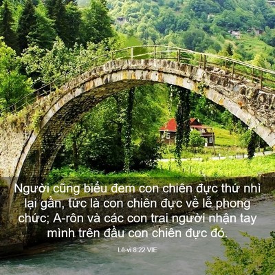 Picture 03 - Lê-vi 8:22 VIE - Người cũng biểu đem con chiên đực - Bible Verse Picture