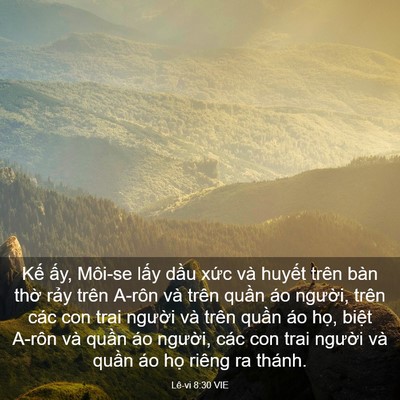 Picture 03 - Lê-vi 8:30 VIE - Kế ấy, Môi-se lấy dầu xức và huyết - Bible Verse Picture
