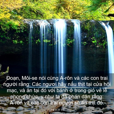 Picture 03 - Lê-vi 8:31 VIE - Đoạn, Môi-se nói cùng A-rôn và các con - Bible Verse Picture