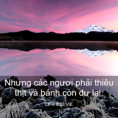 Picture 03 - Lê-vi 8:32 VIE - Nhưng các ngươi phải thiêu thịt và - Bible Verse Picture