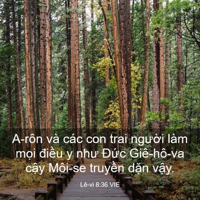 Picture 03 - Lê-vi 8:36 VIE - A-rôn và các con trai người làm mọi - Bible Verse Picture