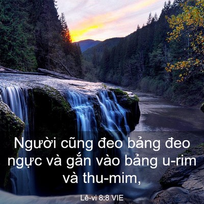 Picture 03 - Lê-vi 8:8 VIE - Người cũng đeo bảng đeo ngực và gắn - Bible Verse Picture