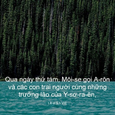 Picture 03 - Lê-vi 9:1 VIE - Qua ngày thứ tám, Môi-se gọi A-rôn và - Bible Verse Picture