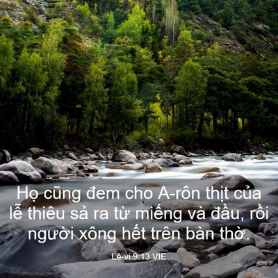 Picture 03 - Lê-vi 9:13 VIE - Họ cũng đem cho A-rôn thịt của lễ - Bible Verse Picture