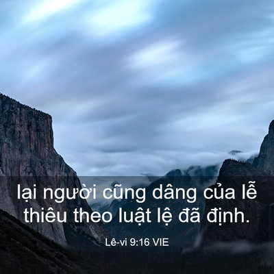 Picture 03 - Lê-vi 9:16 VIE - lại người cũng dâng của lễ thiêu theo - Bible Verse Picture